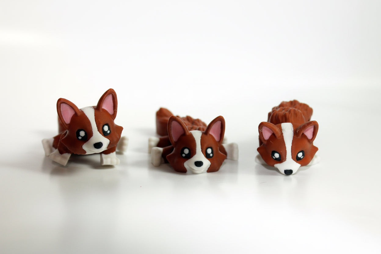 Corgi