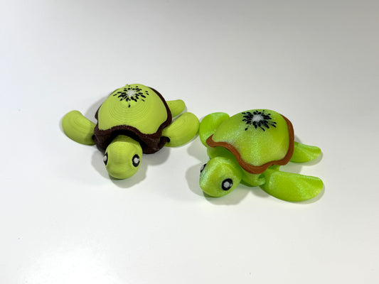 Turtle - Kiwi