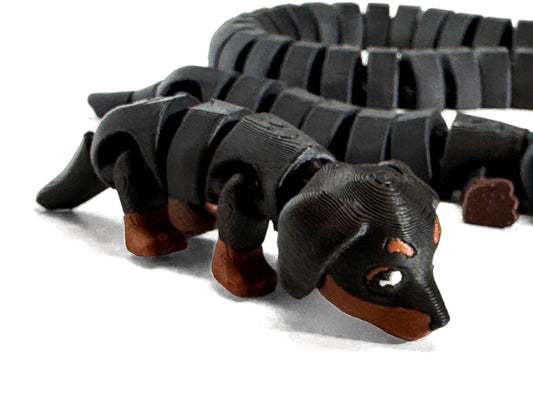 Dachsund