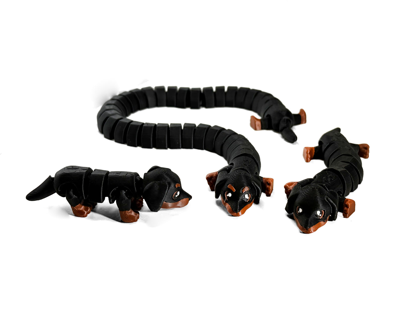 Dachsund
