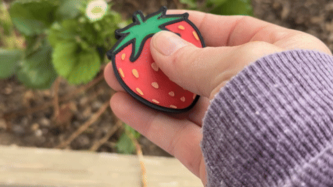 Strawberry Haptic Fidget Slider