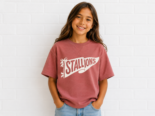 CTE Stallions Vintage washed Tshirt