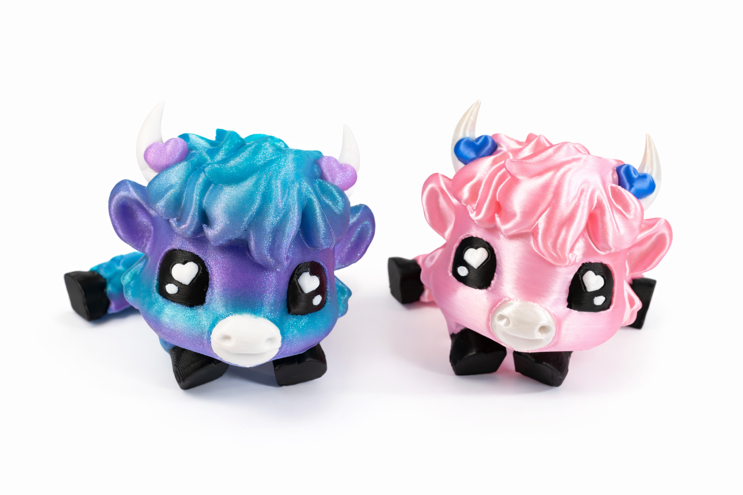 Highland Cow - Cherub