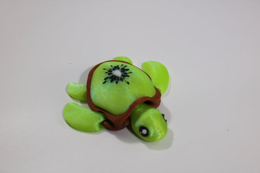 Turtle - Kiwi