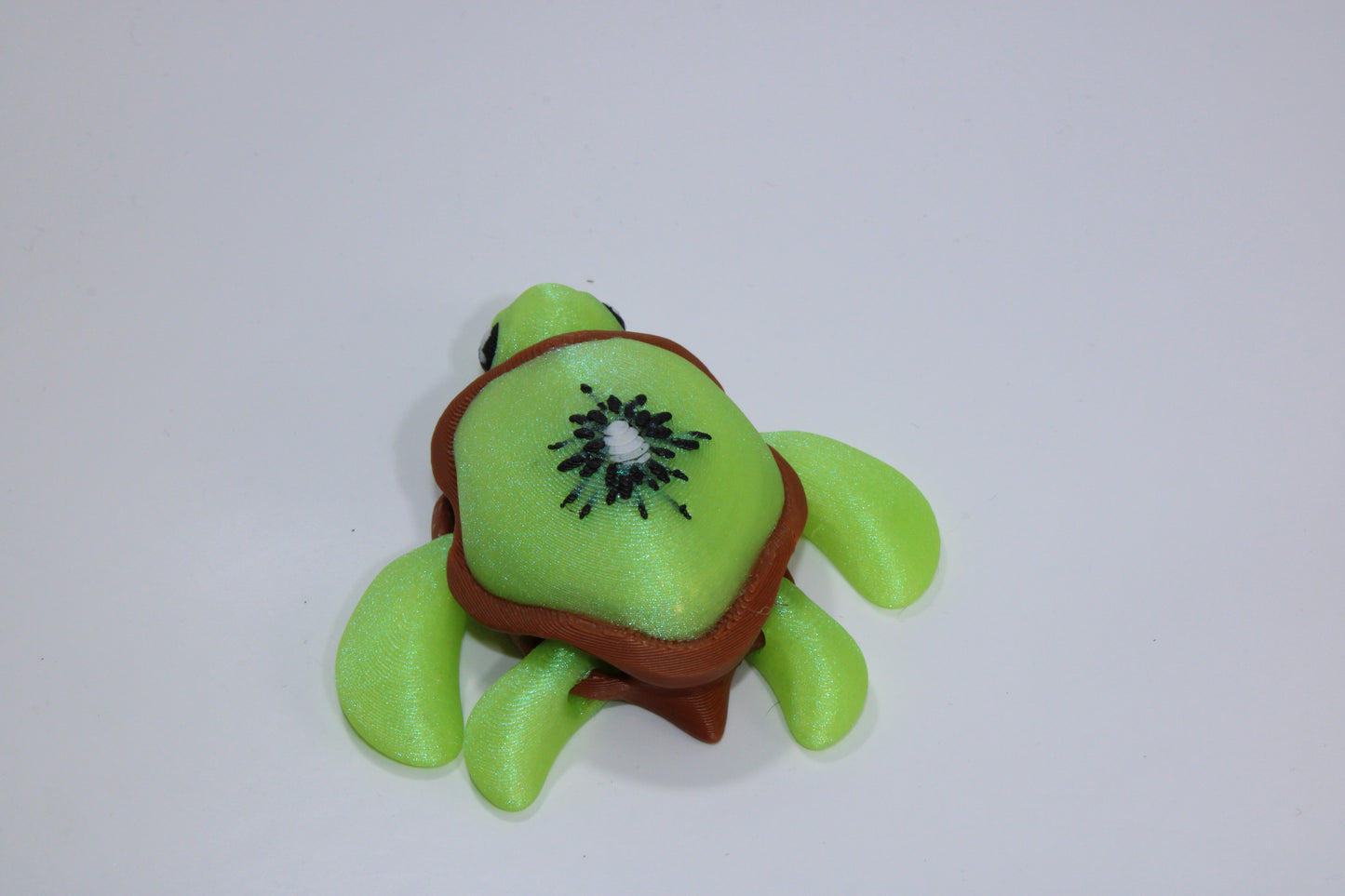 Turtle - Kiwi