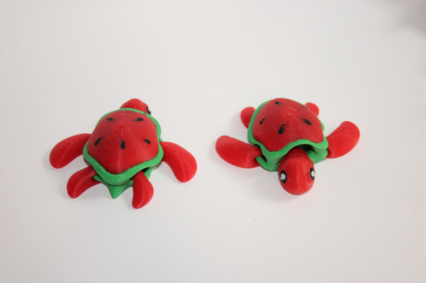 Turtle - Watermelon
