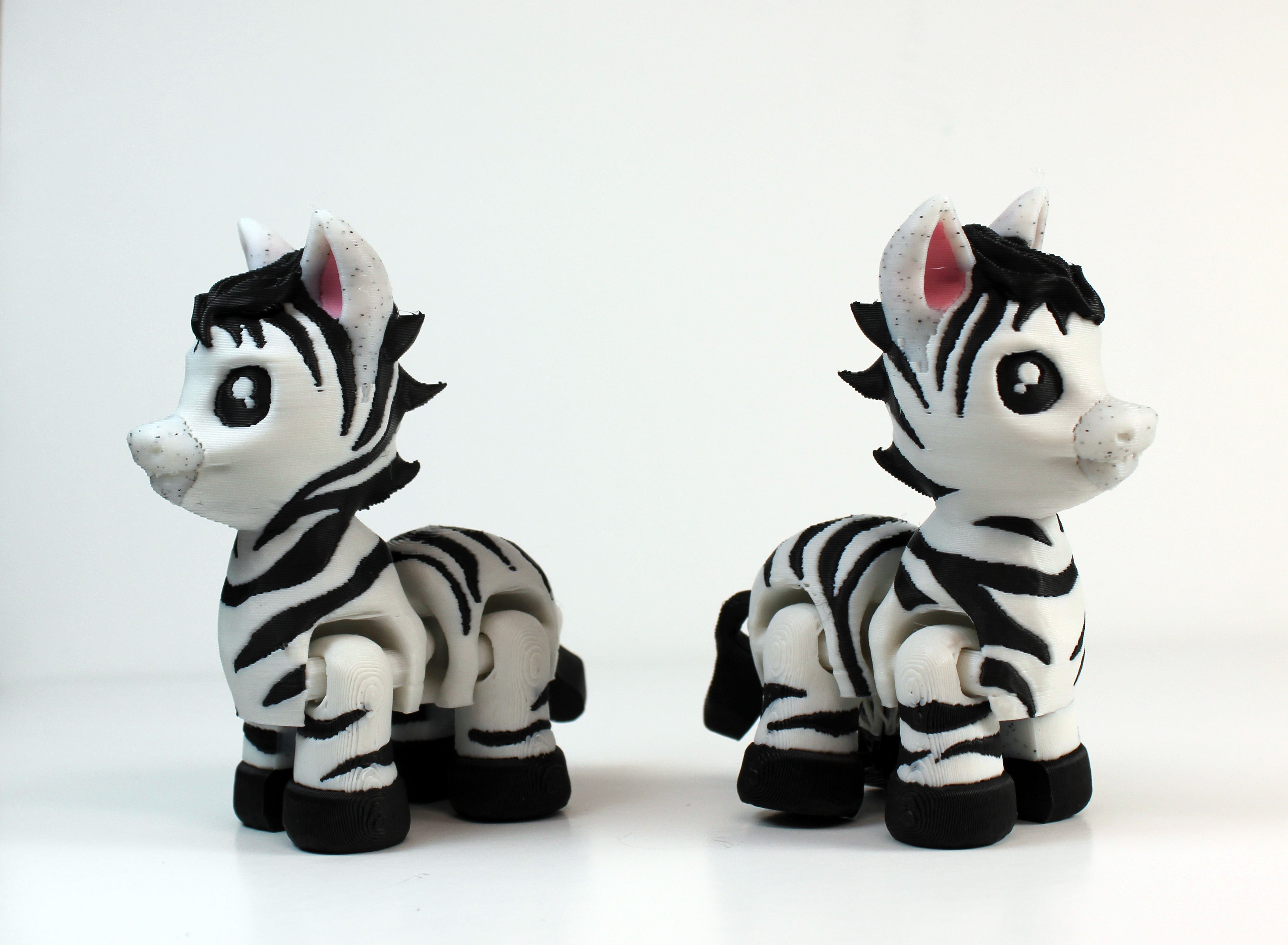 Zebra – Teal Cat Creative