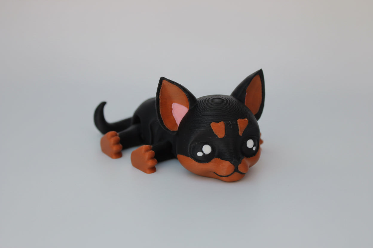 Chihuahua