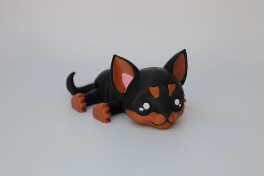 Chihuahua