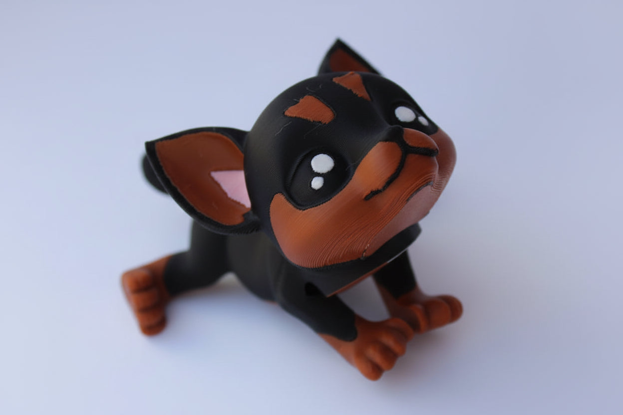 Chihuahua