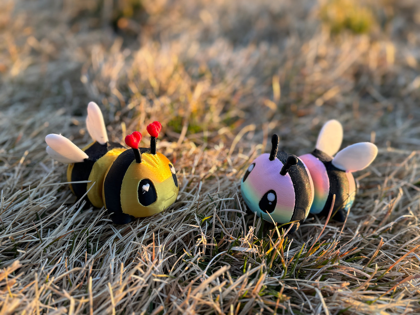 Bee and Heart Bee