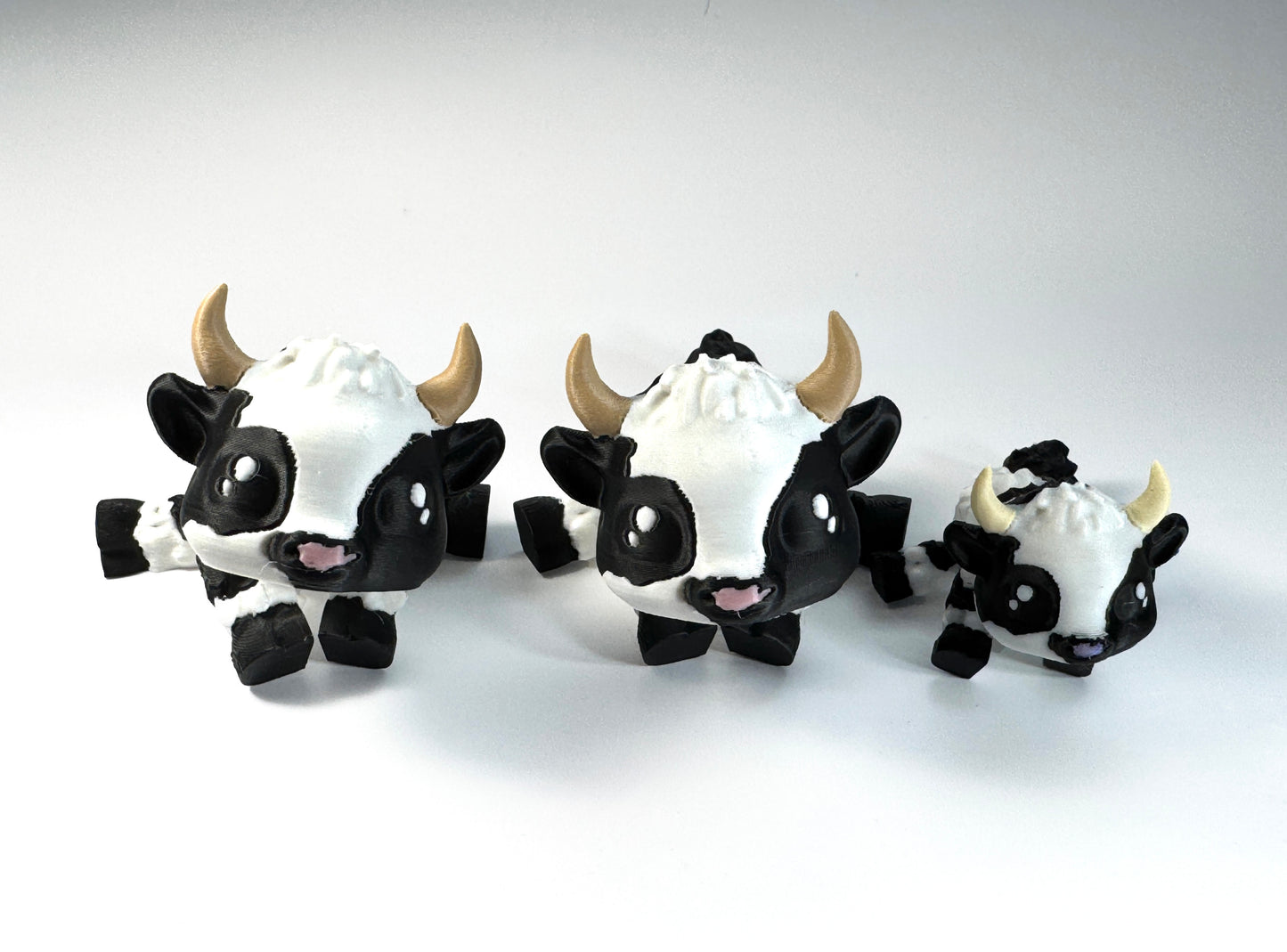Holstein Cow