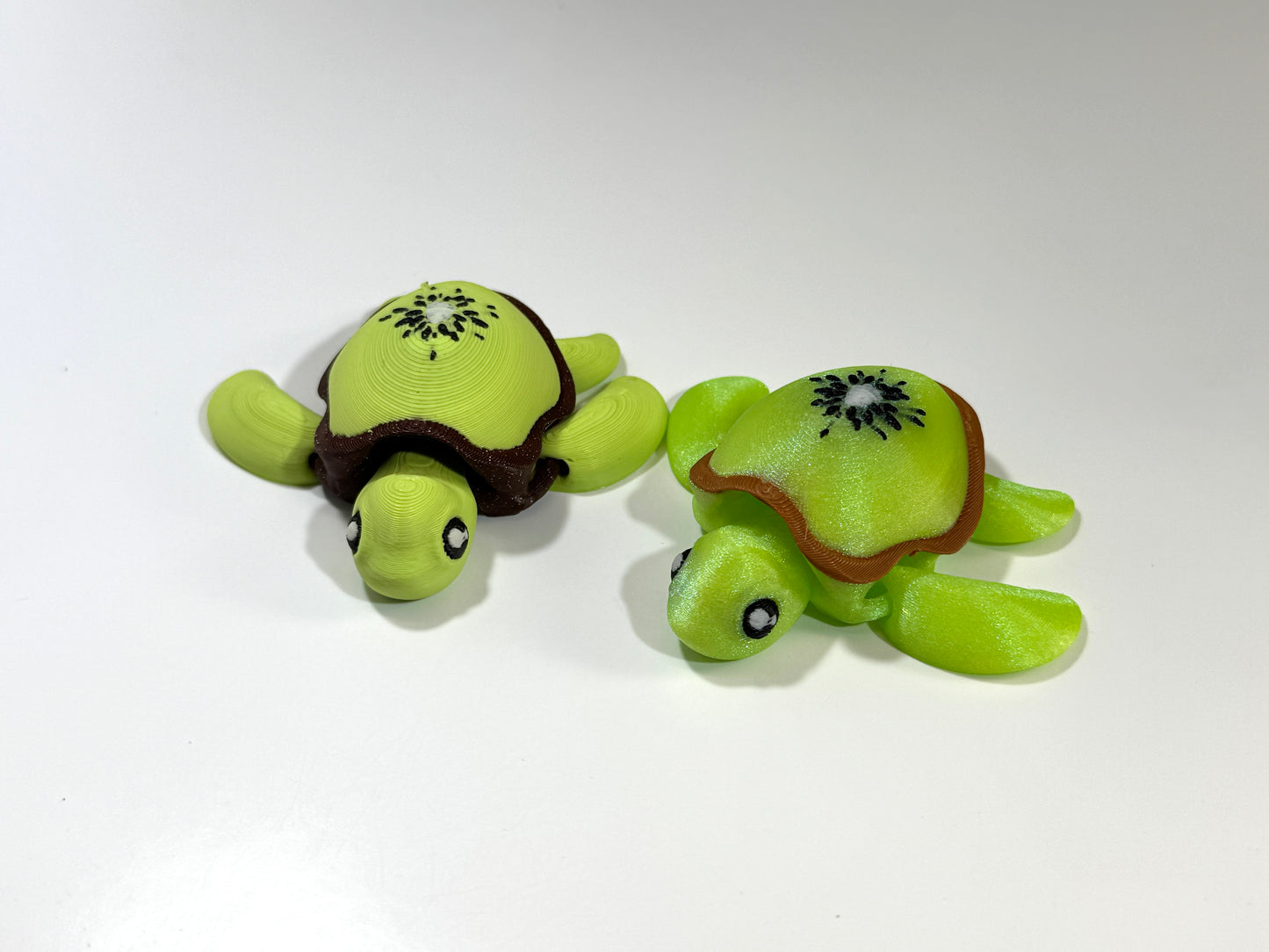 Turtle - Kiwi