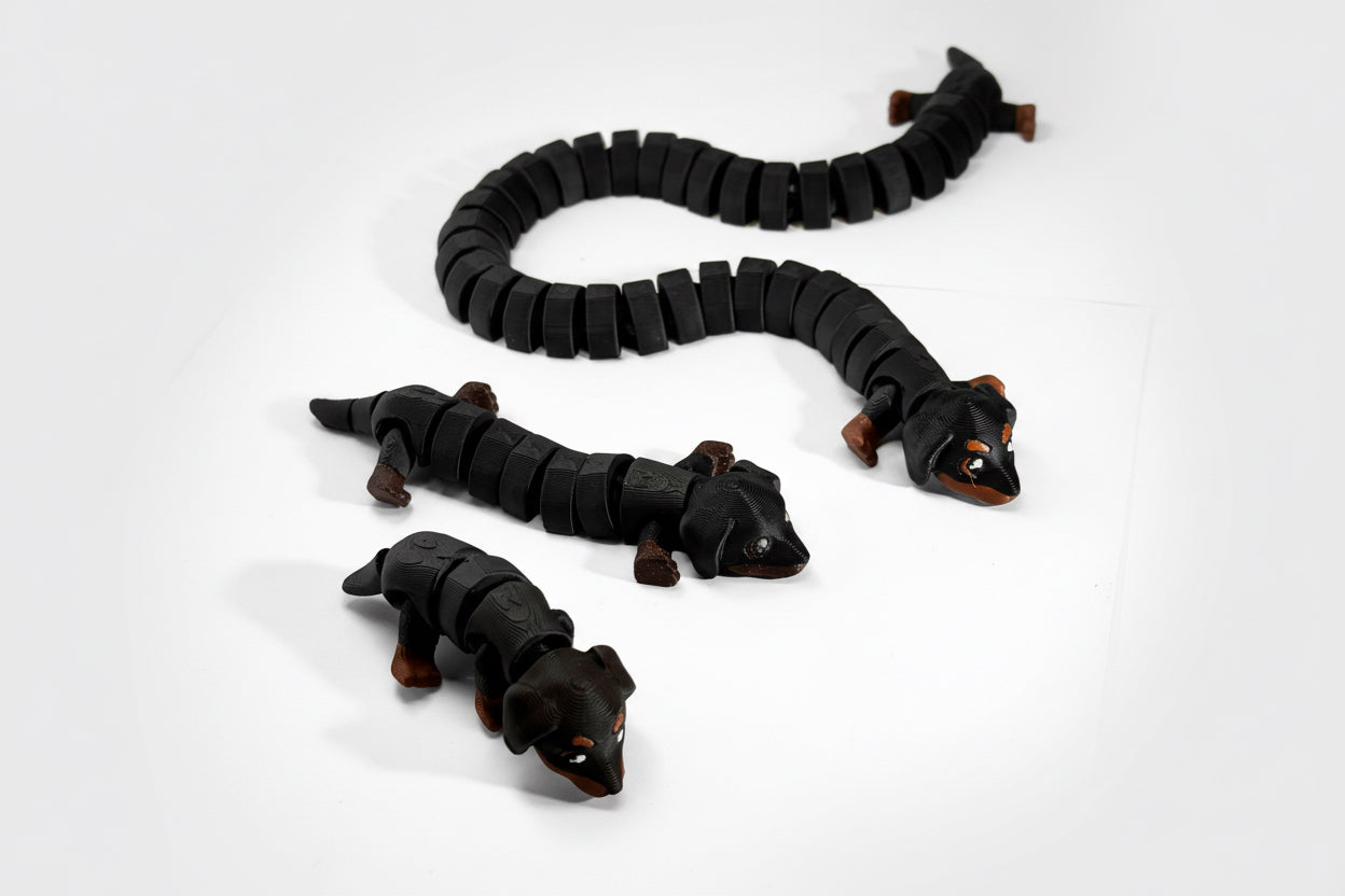 Dachsund