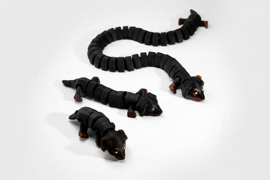 Dachsund