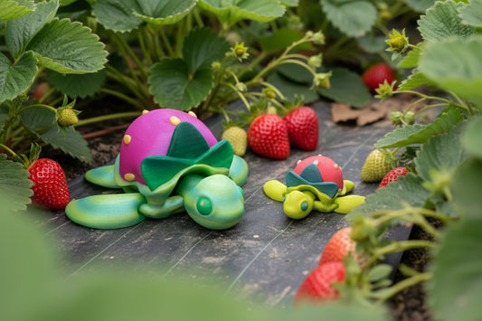 Turtle - Strawberry
