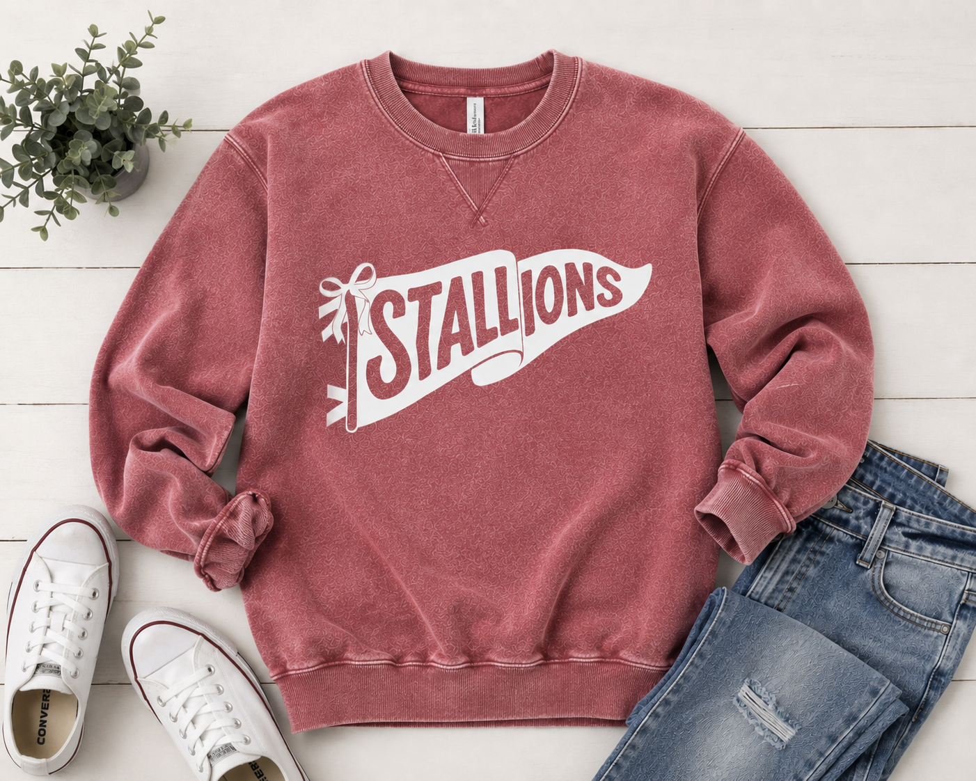 CTE Stallions Vintage washed pennant sweatshirt