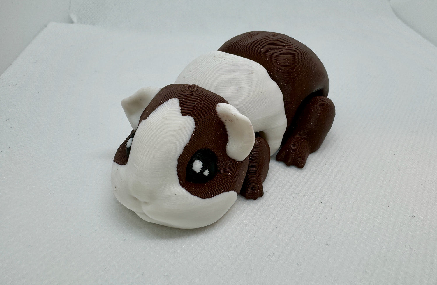 3-color Guinea Pig printed in White, Black, and Dark Brown Glitter