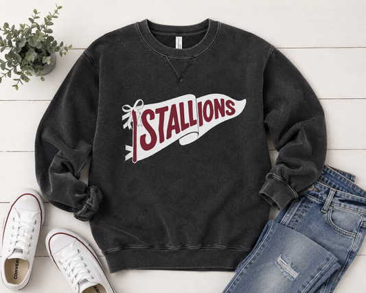 CTE Stallions Vintage washed sweatshirt