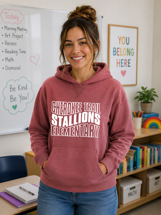 CTE Stallions Vintage washed Hoodie