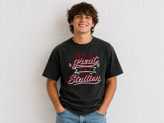 CTE Stallions Vintage washed Tshirt